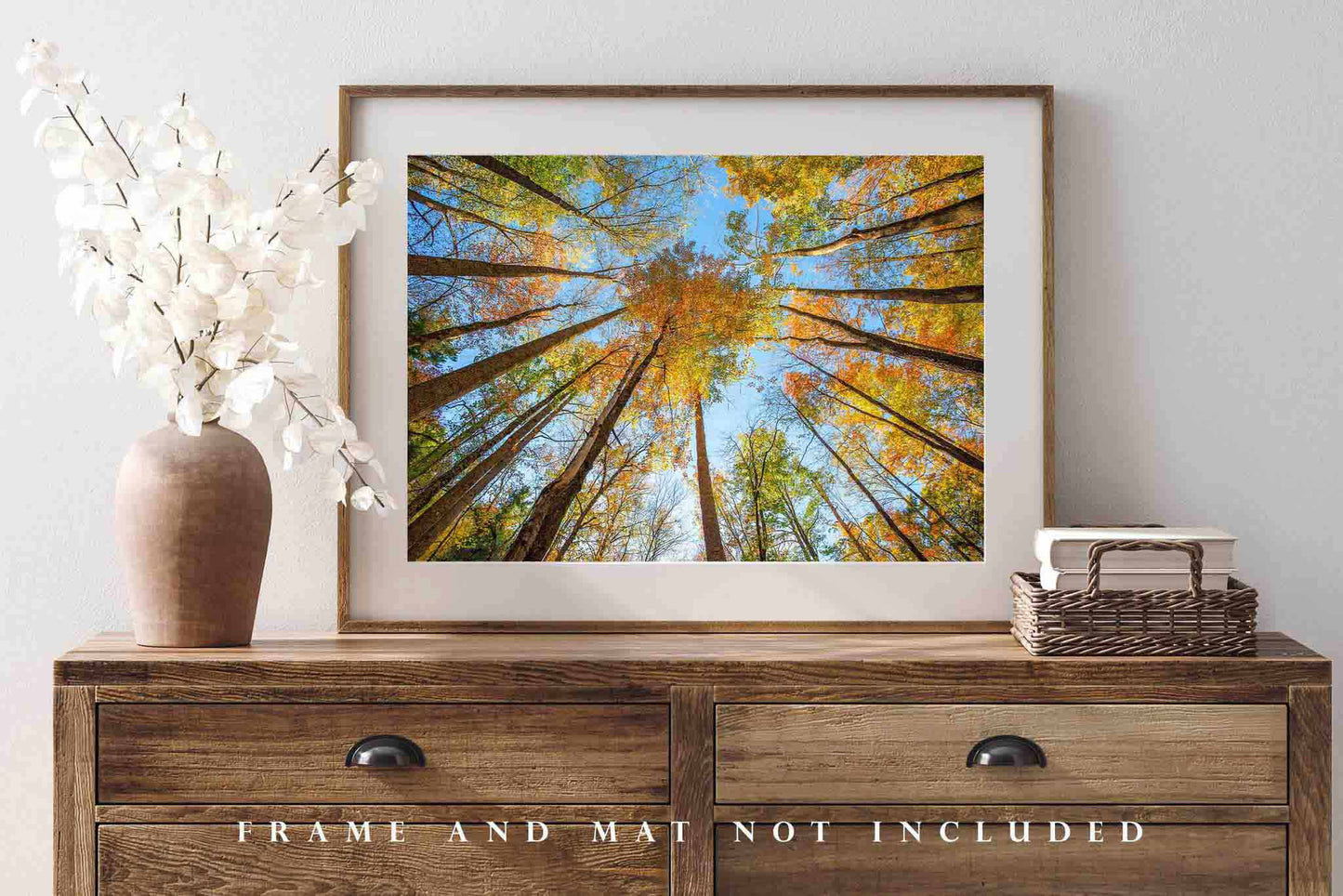 Forest Photography Print | Looking Up in Trees Picture | Great Smoky Mountains Wall Art | Tennessee Photo | Nature Decor | Not Framed