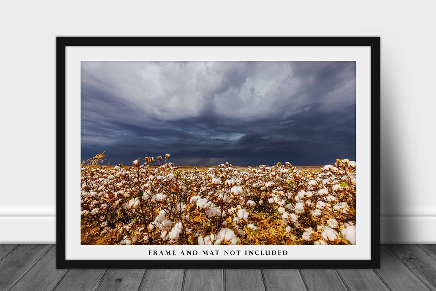 Cotton Field and Thunderstorm in Kansas Photo Print (Unframed) | Farm and Country Wall Art Farmhouse Decor