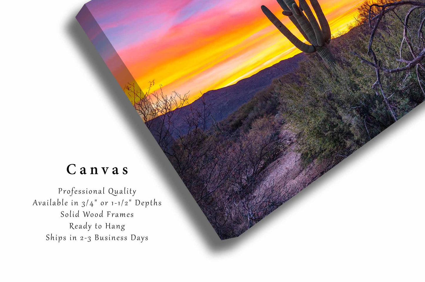 Saguaro Cactus Canvas | Sonoran Desert Gallery Wrap | Arizona Photography | Southwestern Wall Art | Western Decor | Ready to Hang