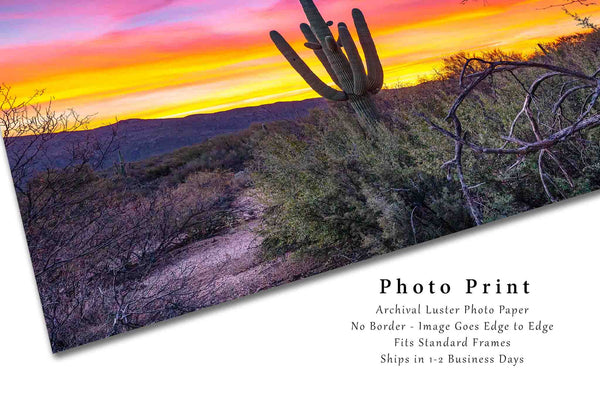Sonoran Desert Photo Print | Saguaro Cactus Picture | Arizona Wall Art | Landscape Photography | Southwestern Decor