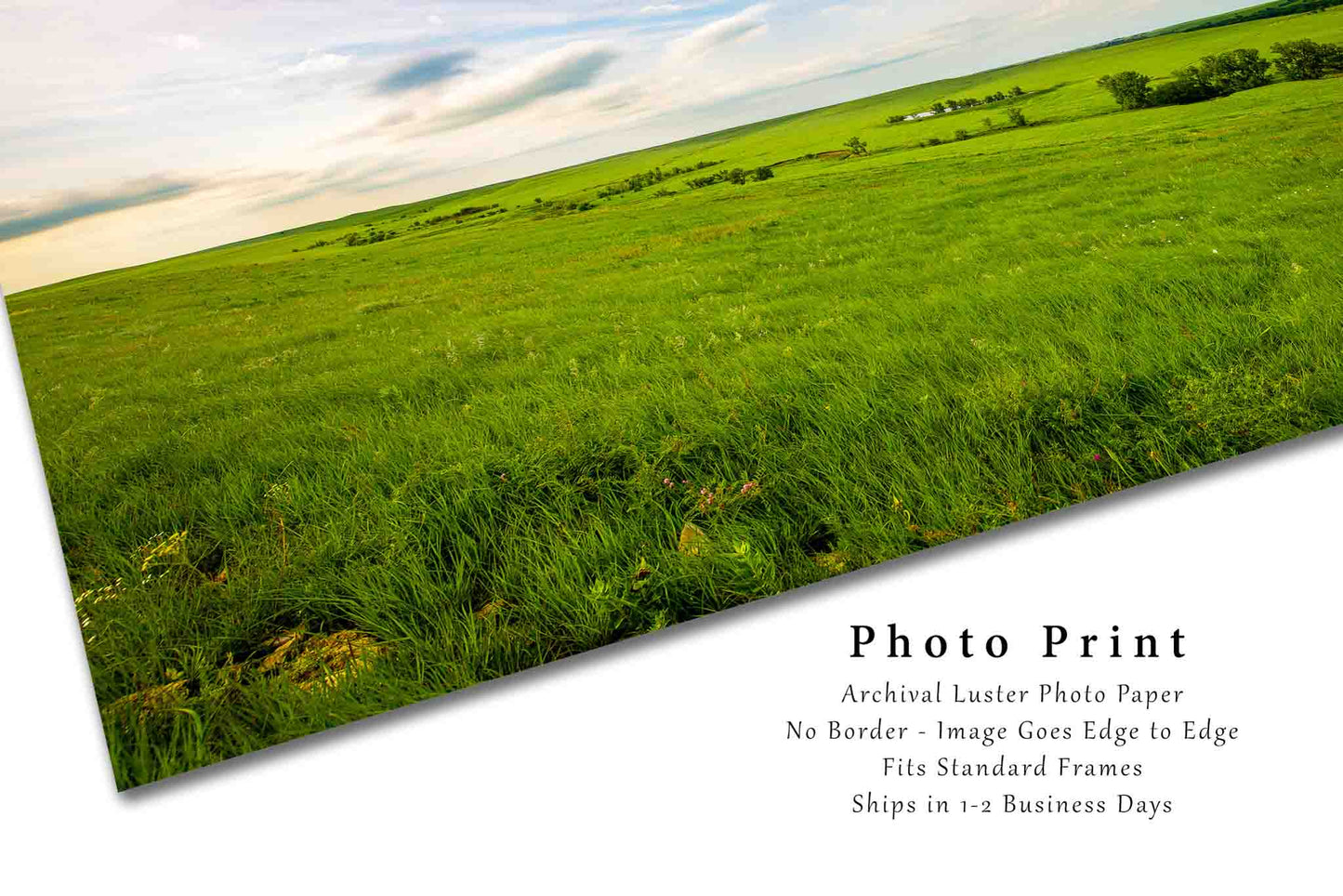 Flint Hills Landscape Photography Print - Picture of Tallgrass Prairie on Spring Day in Kansas - Great Plains Wall Art Photo Decor