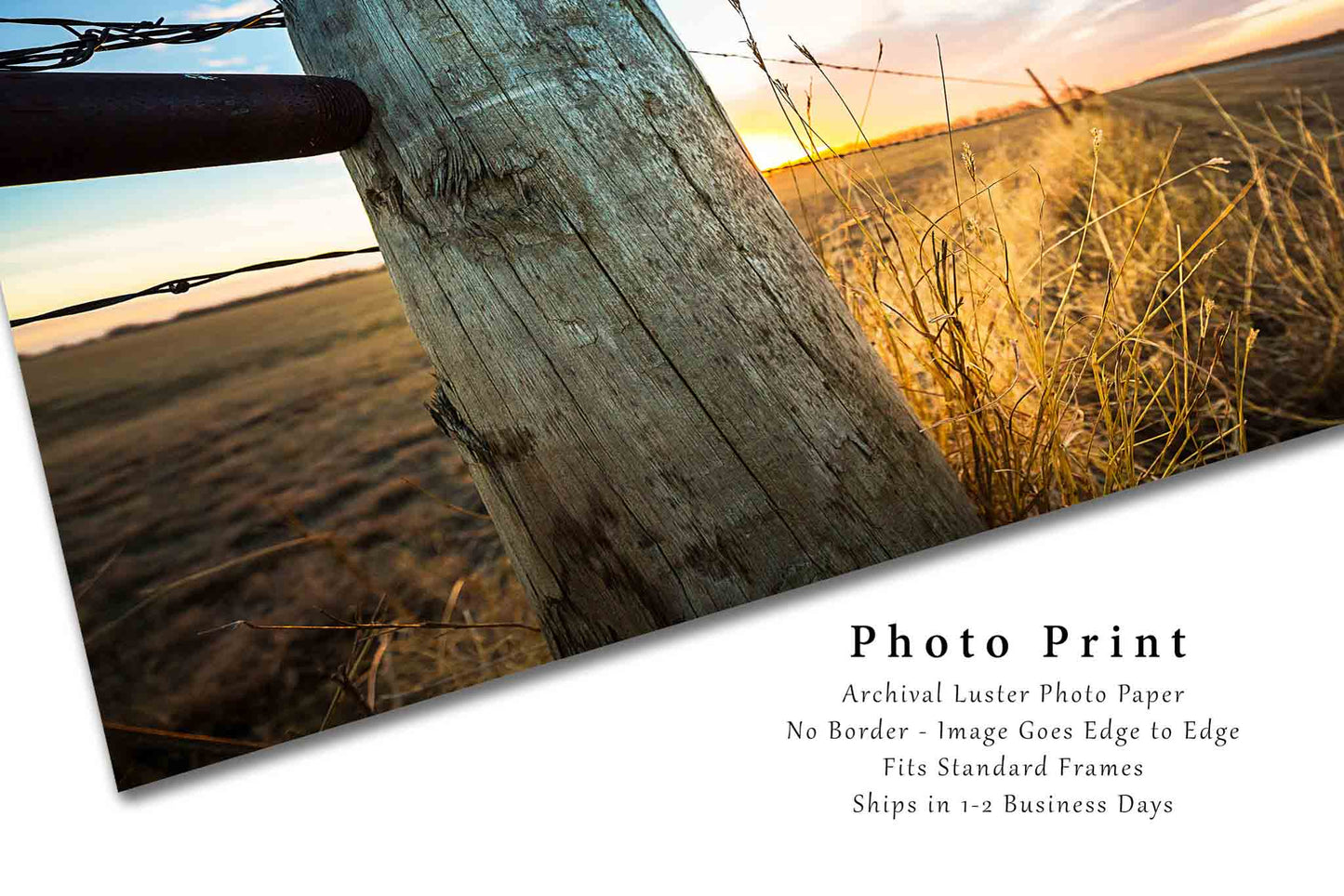 Country Photo Print | Fence Post at Sunset Picture | Oklahoma Wall Art | Western Photography | Farmhouse Decor