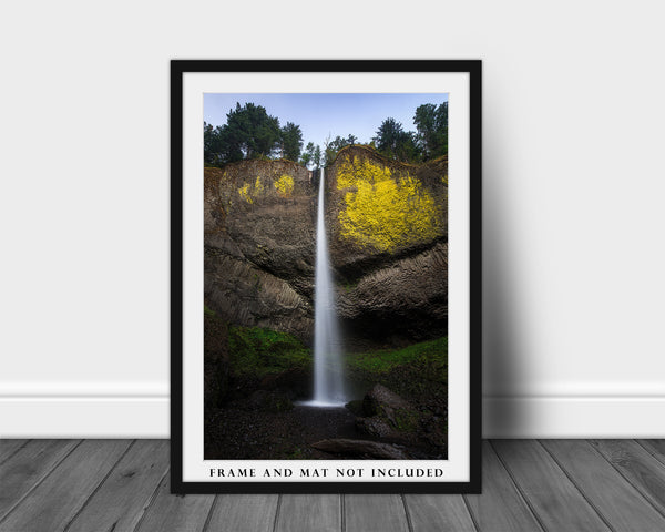 Waterfall Photography Print - Vertical Picture of Latourell Falls in Columbia River Gorge Oregon Pacific Northwest Wall Art Nature Decor