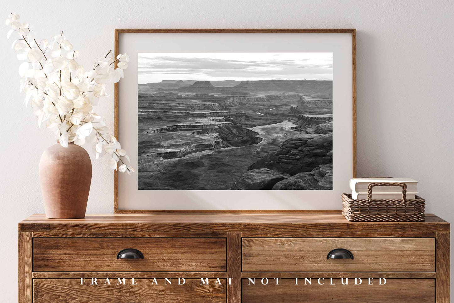 Canyonlands Photography Print | National Park Picture | Black and White Wall Art | Utah Landscape Photo | Nature Decor | Not Framed