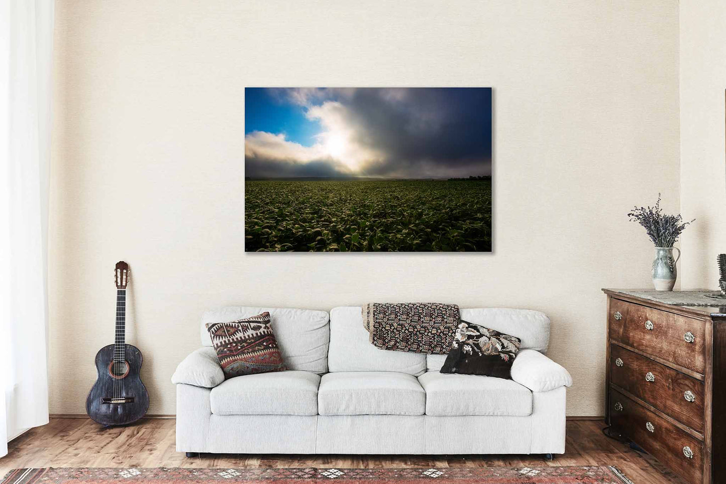 Soybean Field Illuminated by Sunlight in Nebraska Canvas Wall Art | Midwest Landscape Photography Country Decor