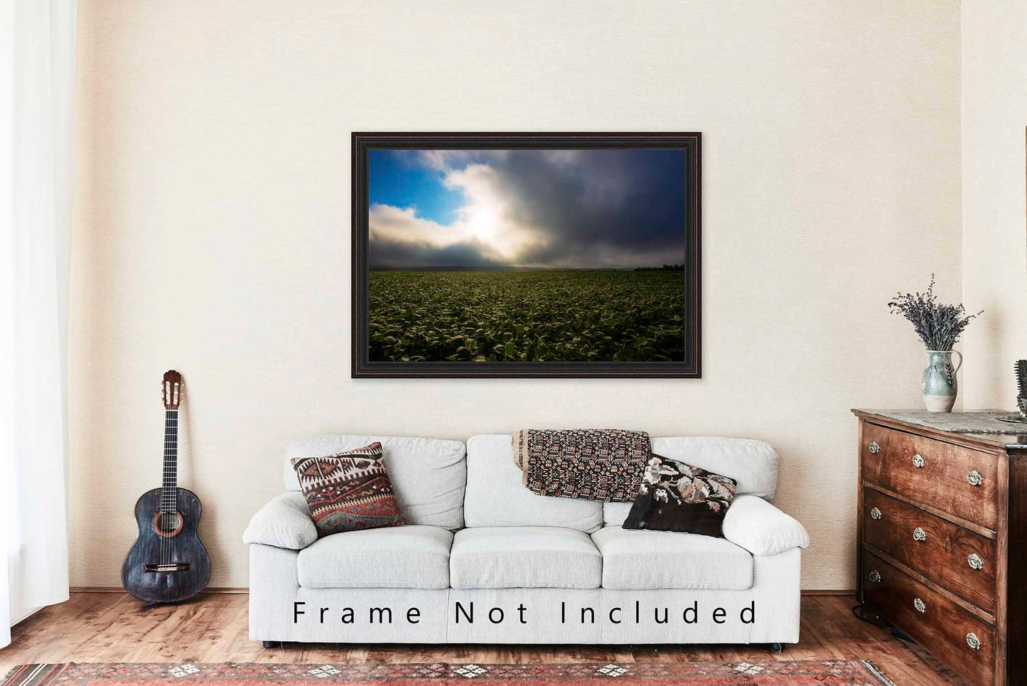 Soybean Field Illuminated by Sunlight in Nebraska Photo Print (Unframed) | Midwest Landscape Wall Art Country Decor