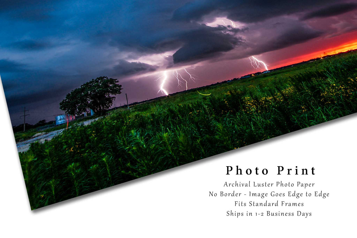 Storm Photography Print | Lightning Picture | Firefly Wall Art | Oklahoma Photo | Thunderstorm Decor | Not Framed