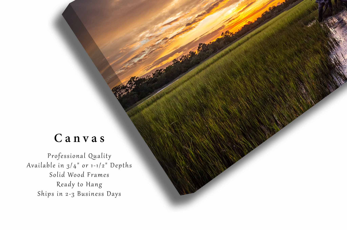 Salt Marsh Canvas | Lowcountry Gallery Wrap | Coastal Photography | South Carolina Landscape Wall Art | Nature Decor | Ready to Hang