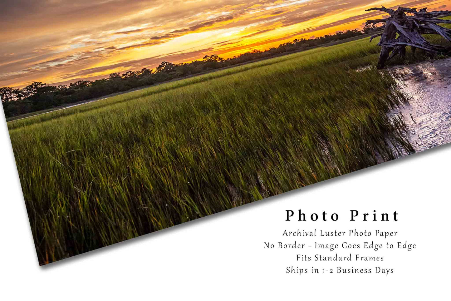 Lowcountry Photography Print - Wall Art Picture of Dead Tree in Salt Marsh at Sunset in Pinckney Island South Carolina Landscape Decor