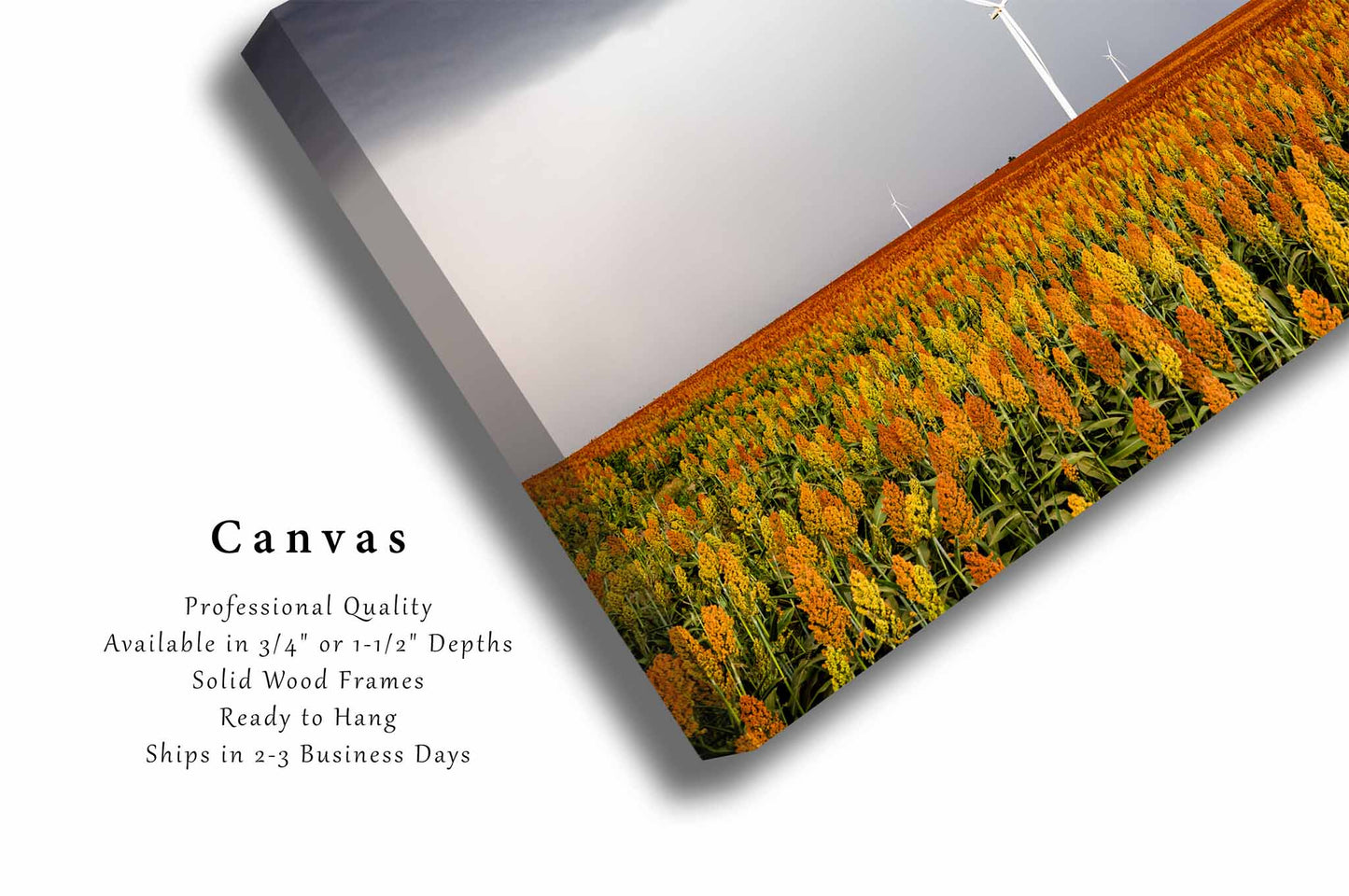 Maizy Day | Maize Field and Wind Turbines Canvas Wall Art | Kansas Country Farmhouse Photography