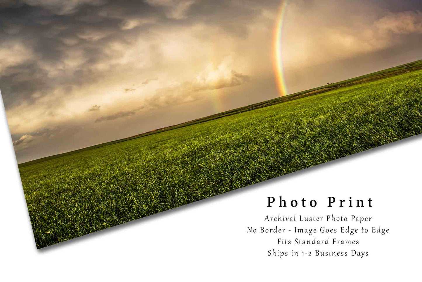 Rainbow Picture - Fine Art Weather Photography Print of Brilliant Rainbow Over Field on Stormy Day in Oklahoma Country Wall Art Photo Decor