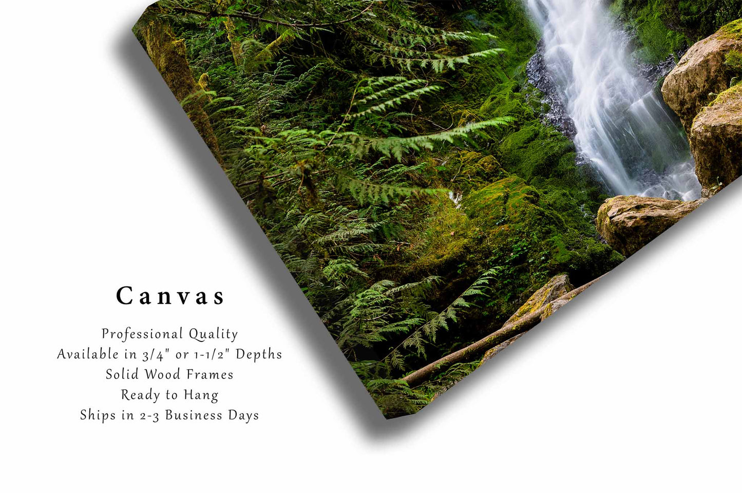 Merriman Falls Canvas | Waterfall Gallery Wrap | Pacific Northwest Photography | Washington Landscape Wall Art | Nature Decor | Ready to Hang