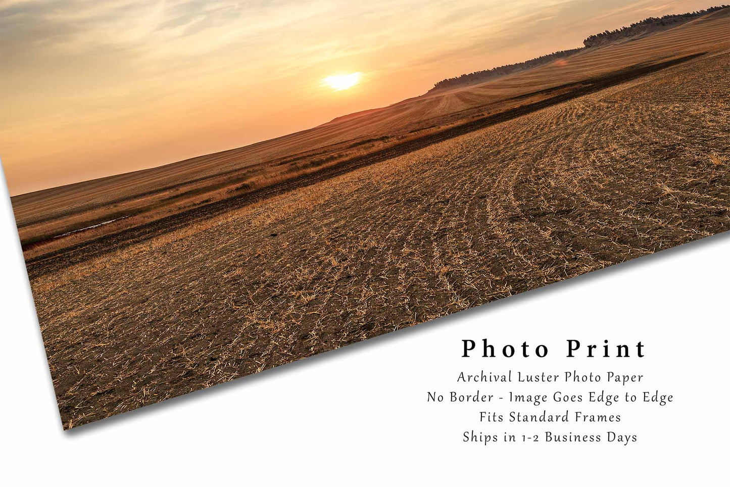 Furrowed Fields Photography Print | Farmland Picture | Farm Wall Art | Eastern Montana Photo | Agriculture Decor | Not Framed