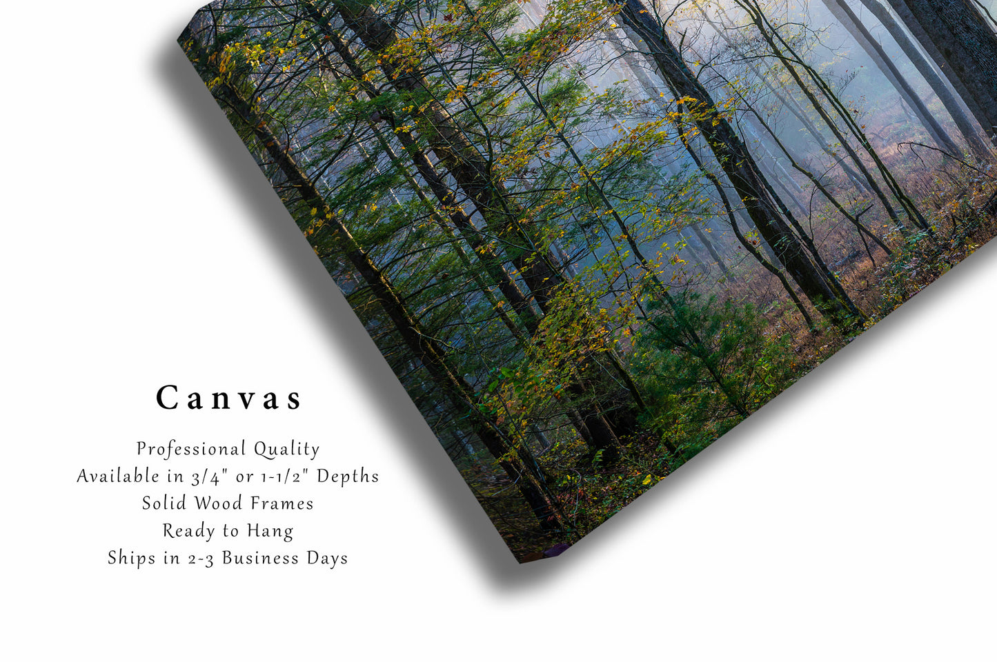 Canvas Wall Art | Foggy Forest Photo | Nature Gallery Wrap | Tennessee Photography | Great Smoky Mountains Picture | Appalachian Decor