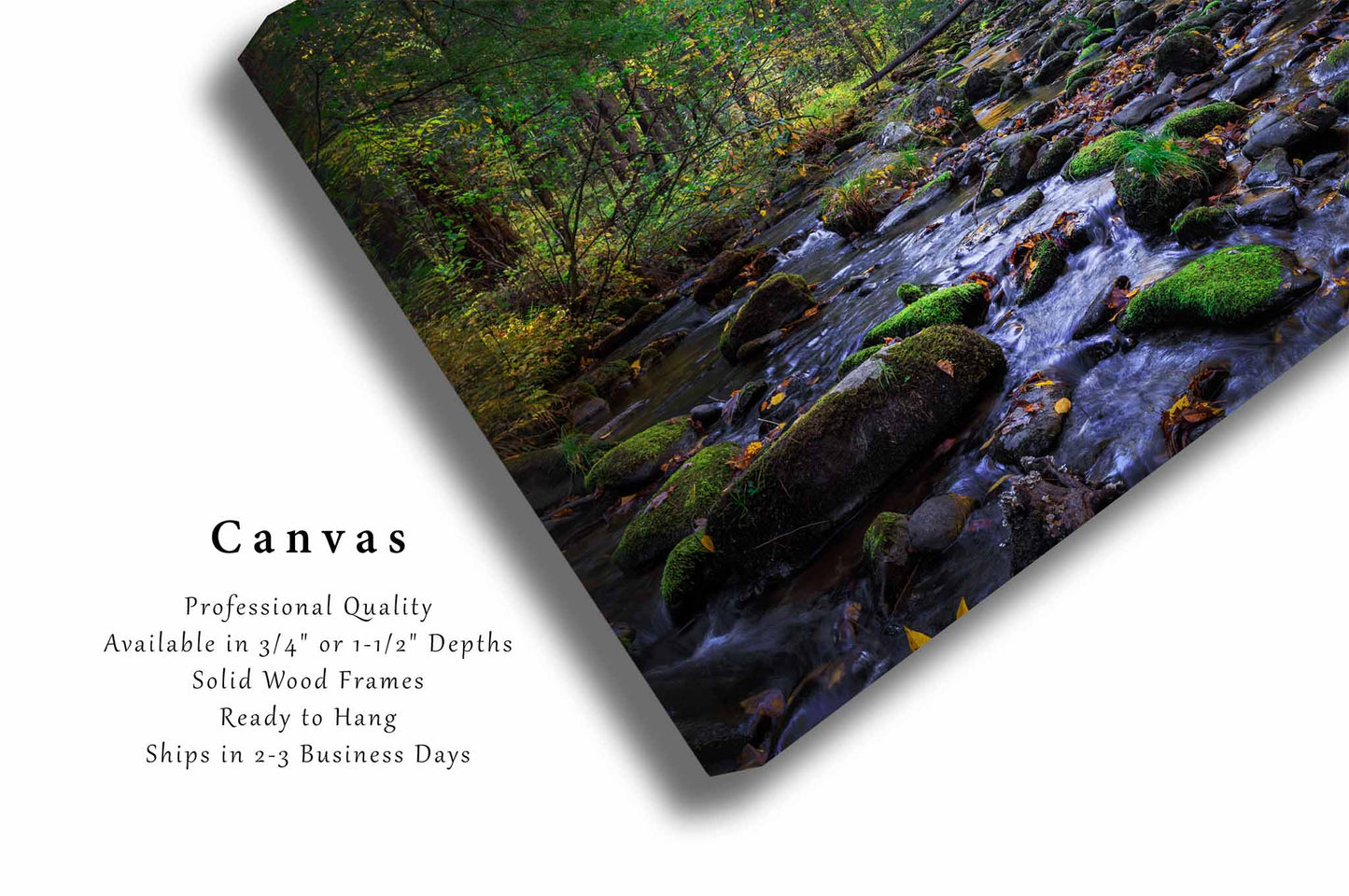 Forest Canvas | Creek on Autumn Day Gallery Wrap | Great Smoky Mountains Photography | Tennessee Landscape Wall Art | Nature Decor | Ready to Hang