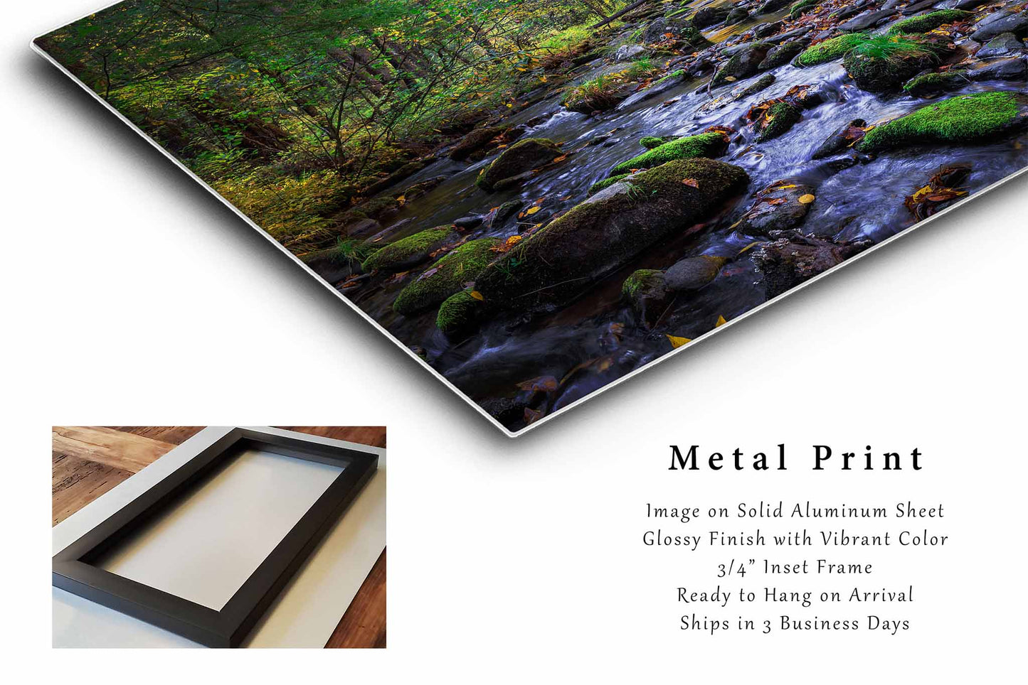 Forest Metal Print | Creek on Autumn Day Photography | Great Smoky Mountains Wall Art | Tennessee Landscape Photo | Nature Decor | Ready to Hang