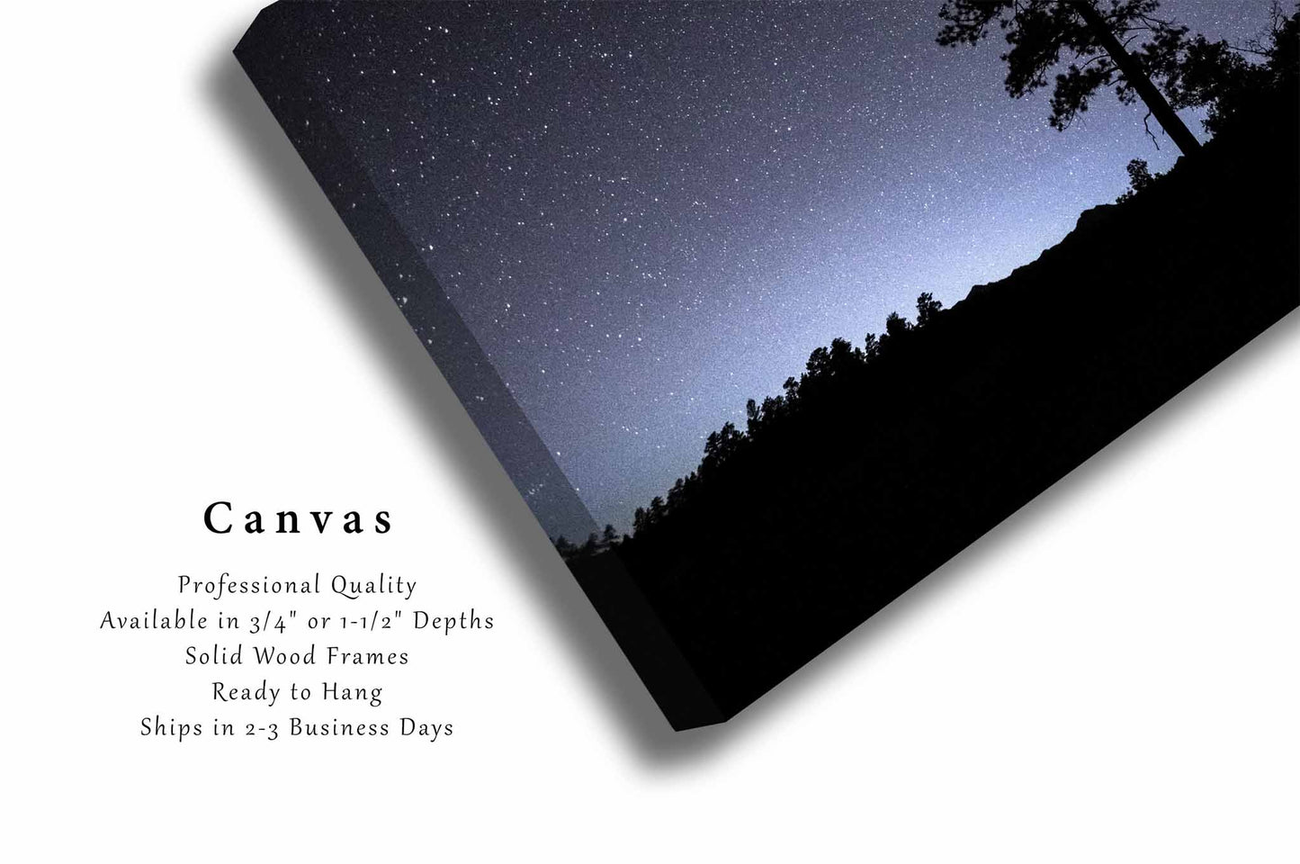 Night Sky Canvas | Pine Tree Silhouette Gallery Wrap | Starry Landscape Photography | Colorado Wall Art | Celestial Rocky Mountain Decor | Ready to Hang