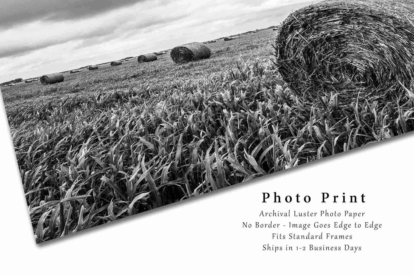 Round Hay Bales Photography Print | Nostalgic Farm Picture | Black and White Wall Art | Kansas Photo | Farmhouse Decor | Not Framed