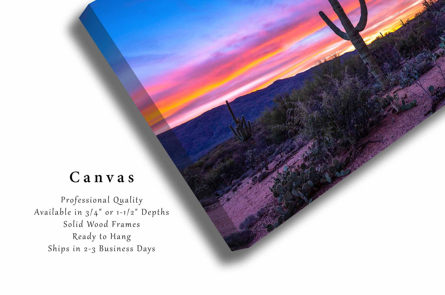 Saguaro Cactus Canvas | Sonoran Desert Gallery Wrap | Southwestern Photography | Arizona Wall Art | Western Decor | Ready to Hang