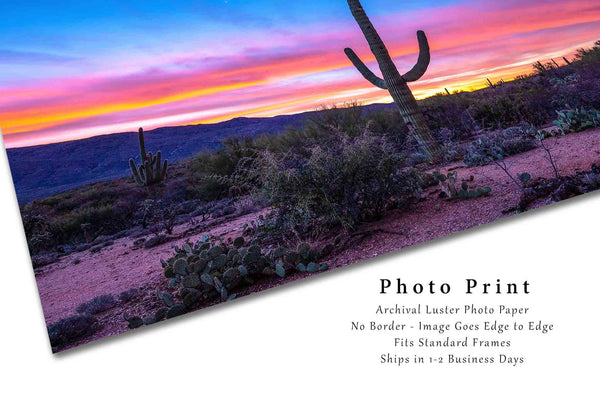 Desert Picture - Fine Art Landscape Photography Print of Saguaro Cactus at Sunrise near Tucson Arizona Southwest Wall Art Photo Decor