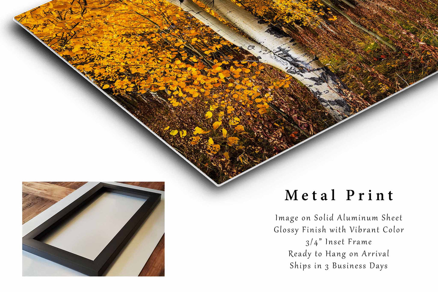 Aspen Trees Metal Print | Autumn Forest Photography | Western Wall Art | Wyoming Photo | Nature Decor | Ready to Hang