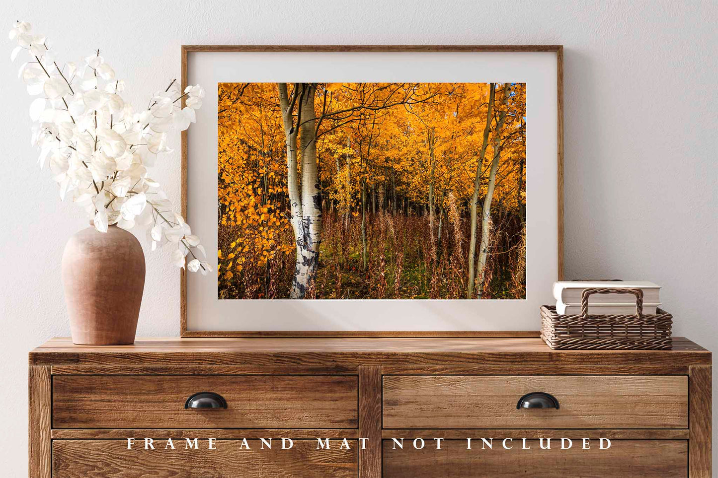 Aspen Trees Photography Print | Autumn Forest Picture | Western Wall Art | Wyoming Photo | Nature Decor | Not Framed