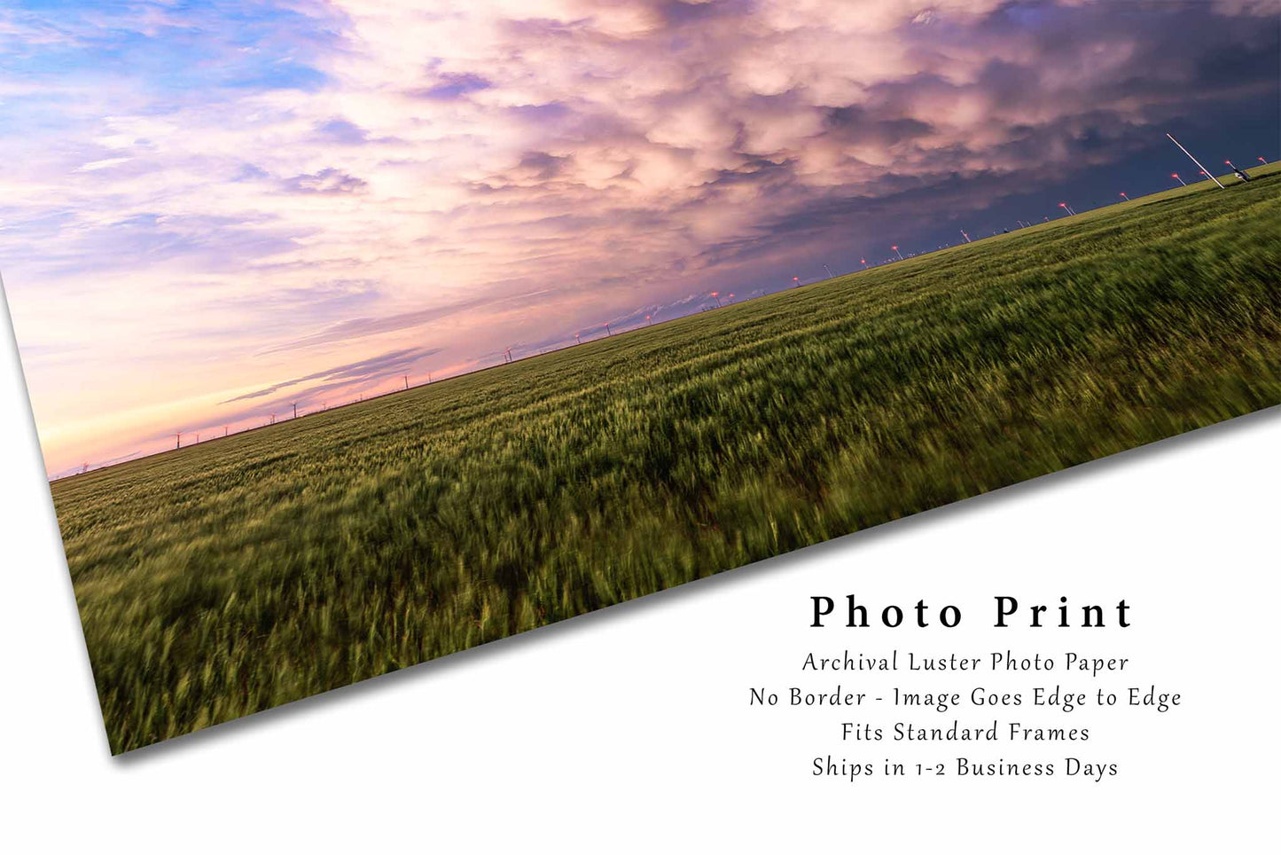 Stormy Sky Photography Print | Storm Clouds Picture | Thunderstorm Over Wheat Field Wall Art | Texas Photo | Weather Decor | Not Framed