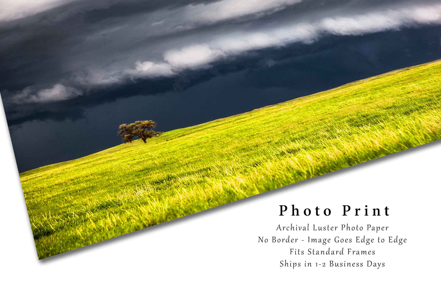 Storm Photography Print (Not Framed) Picture of Thunderstorm Passing Behind Lone Tree on Stormy Spring Day in Nebraska Prairie Wall Art Great Plains Decor