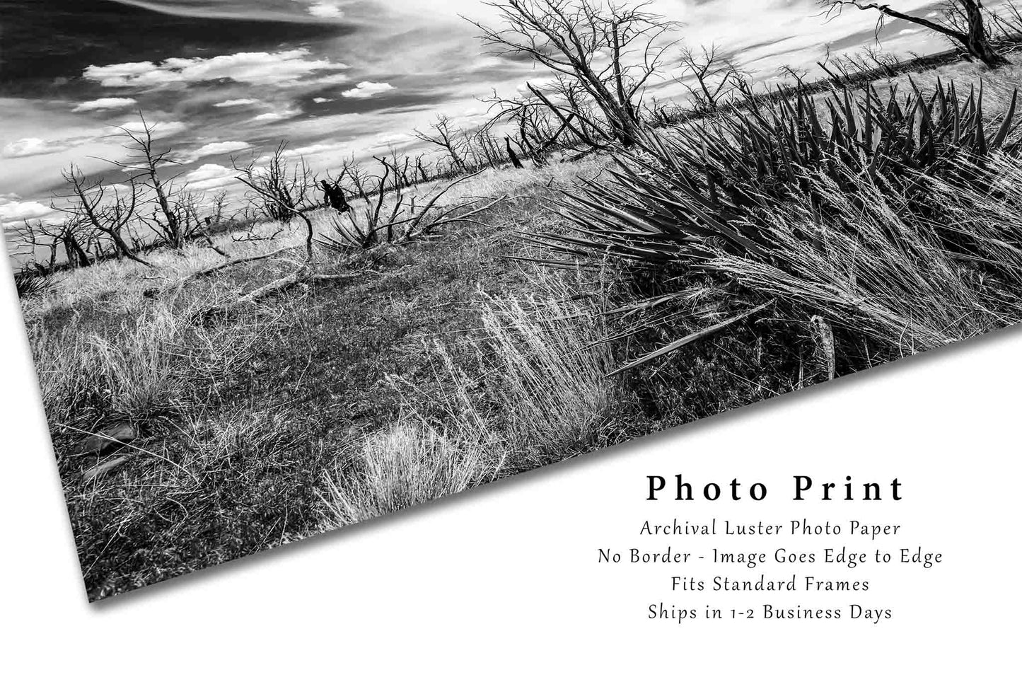 Mesa Verde National Park Landscape Photo Print (Unframed) | Black and White Landscape Wall Art High Desert Decor