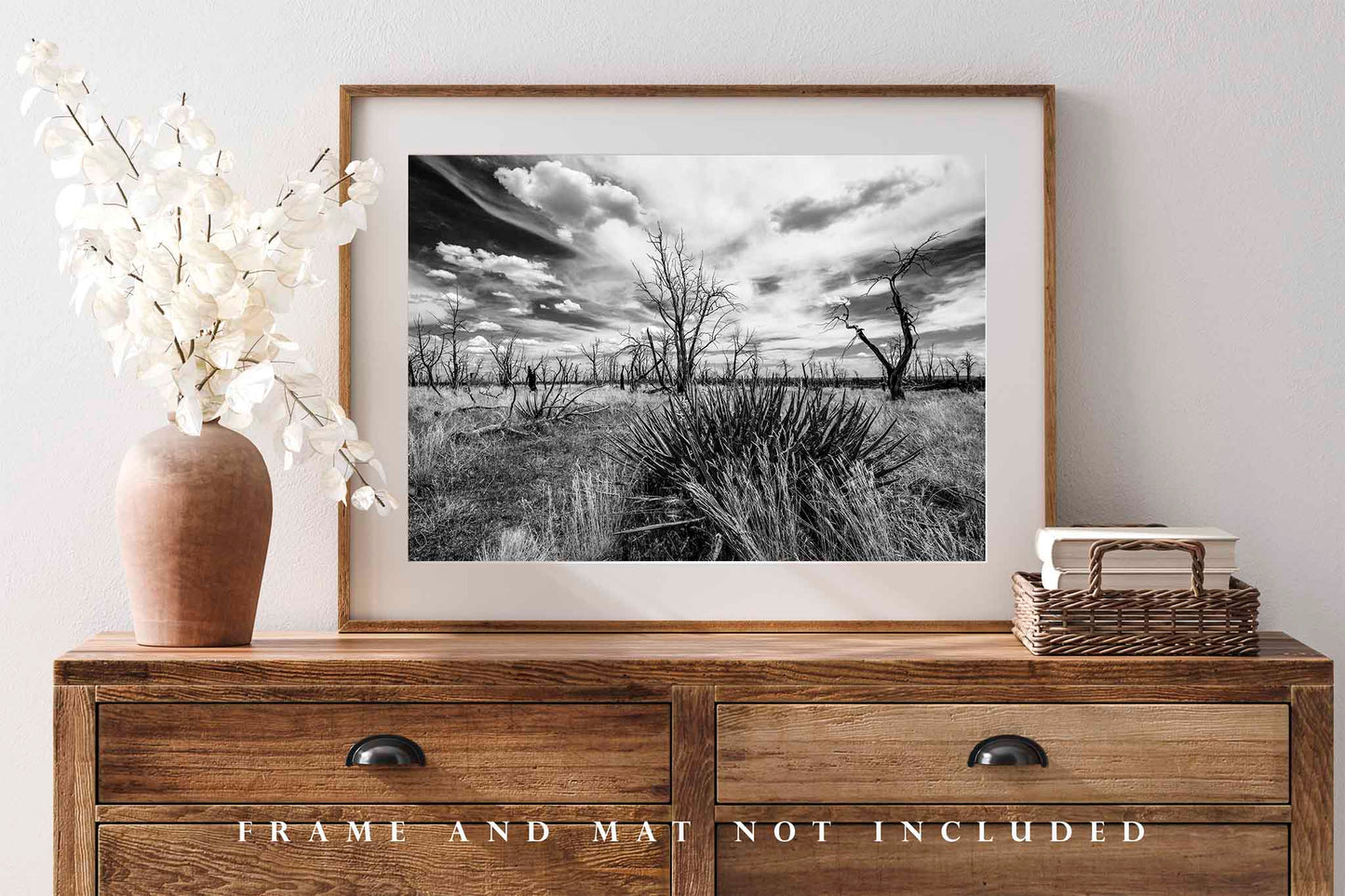 Mesa Verde National Park Landscape Photo Print (Unframed) | Black and White Landscape Wall Art High Desert Decor