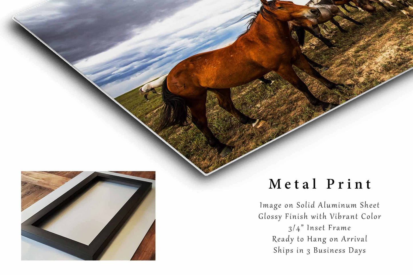 Horse Metal Print | Equine Photography | Farm and Ranch Wall Art | Oklahoma Photo | Western Decor | Ready to Hang