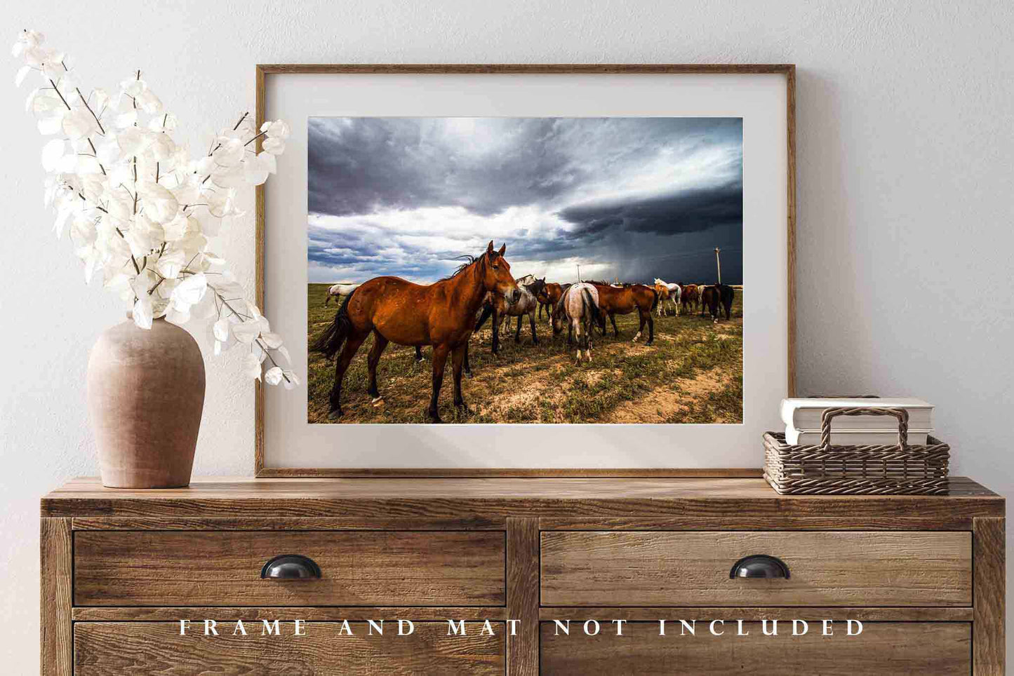 Horse Photography Print | Equine Picture | Farm and Ranch Wall Art | Oklahoma Photo | Western Decor | Not Framed