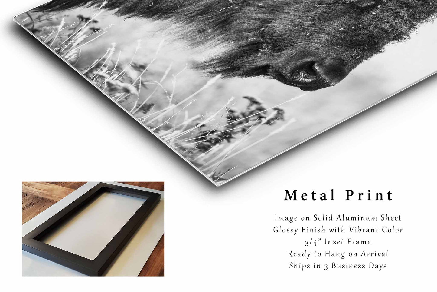 Bison Metal Print | Vertical Buffalo Photography | Black and White Wall Art | Oklahoma Nature Photo | Western Decor | Ready to Hang
