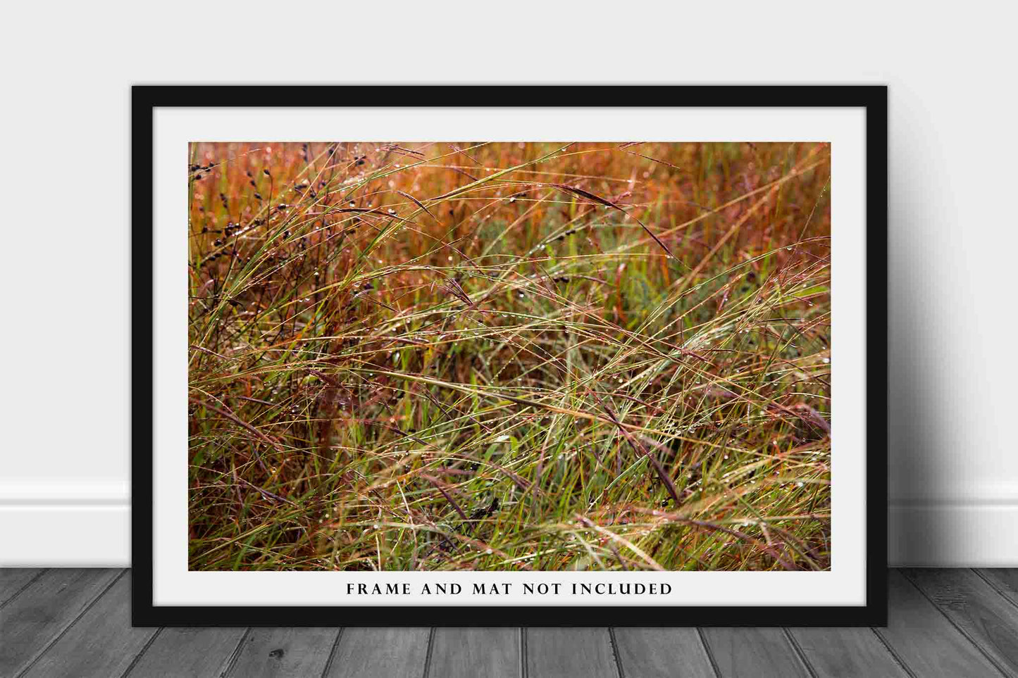 Raindrops on Prairie Grass in Oklahoma Photo Print (Unframed) | Botanical Wall Art Nature Decor