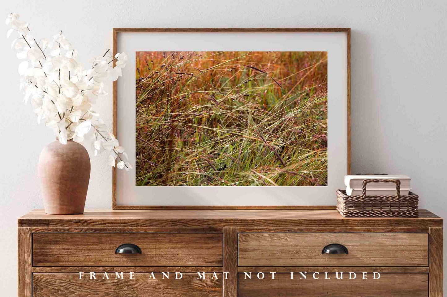 Raindrops on Prairie Grass in Oklahoma Photo Print (Unframed) | Botanical Wall Art Nature Decor