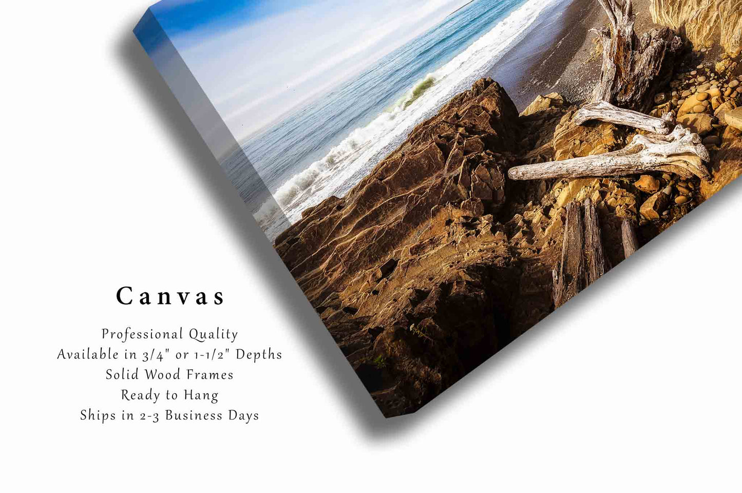 Driftwood Canvas | Pacific Northwest Gallery Wrap | Coastal Beach Photography | Washington Seascape Wall Art | Nature Decor | Ready to Hang