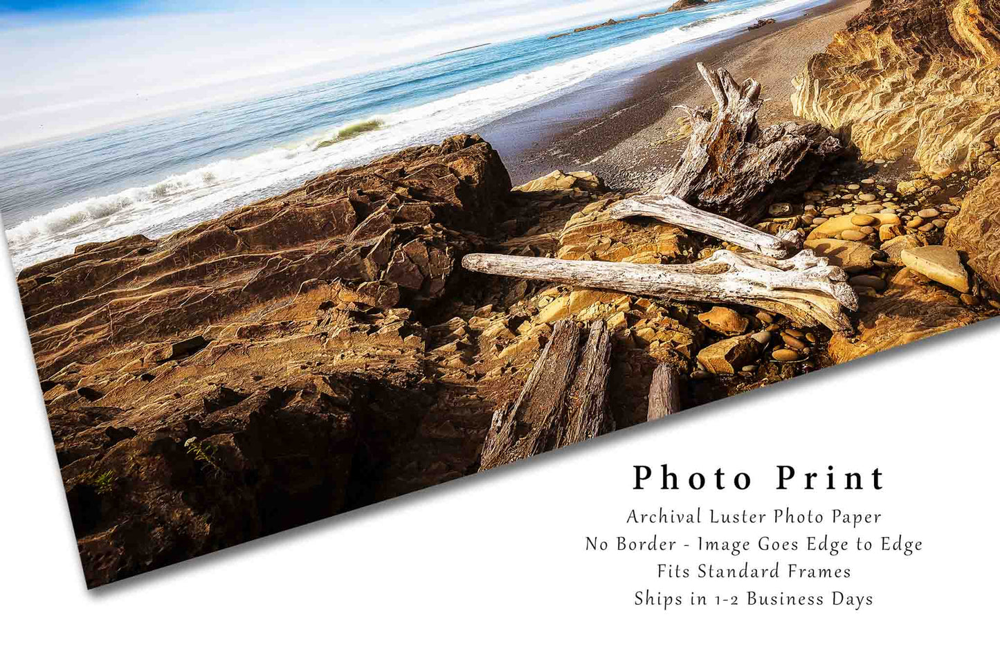 Pacific Northwest Art Print - Fine Art Photography Print of Log Remnants on Beach Along Coast in Washington State Coastal Wall Art Beach Art
