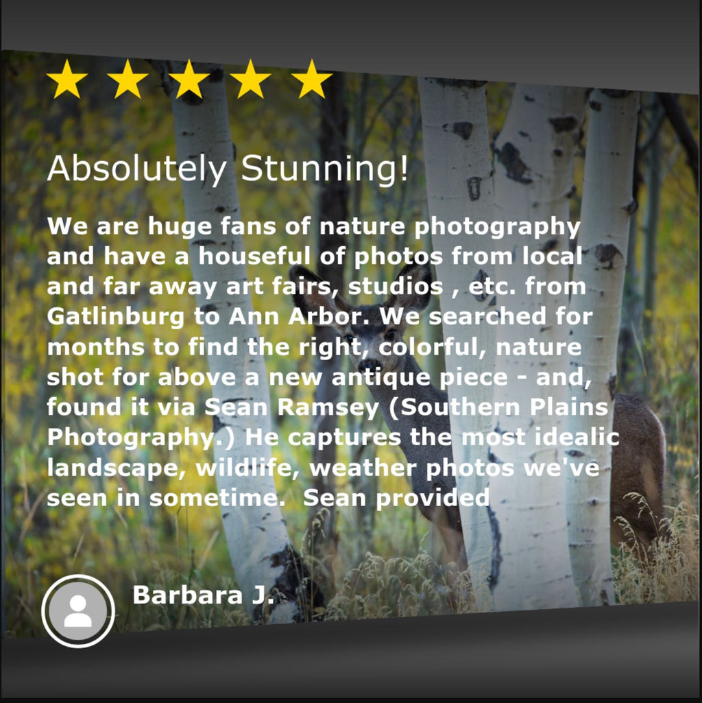 A five star review of the wood pallet wall art offered by Sean Ramsey of Southern Plains Photography.