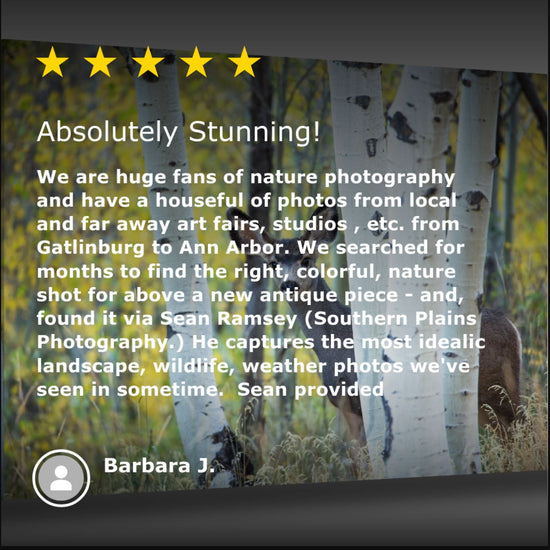 A five star review of canvas wall art offered by Sean Ramsey of Southern Plains Photography.
