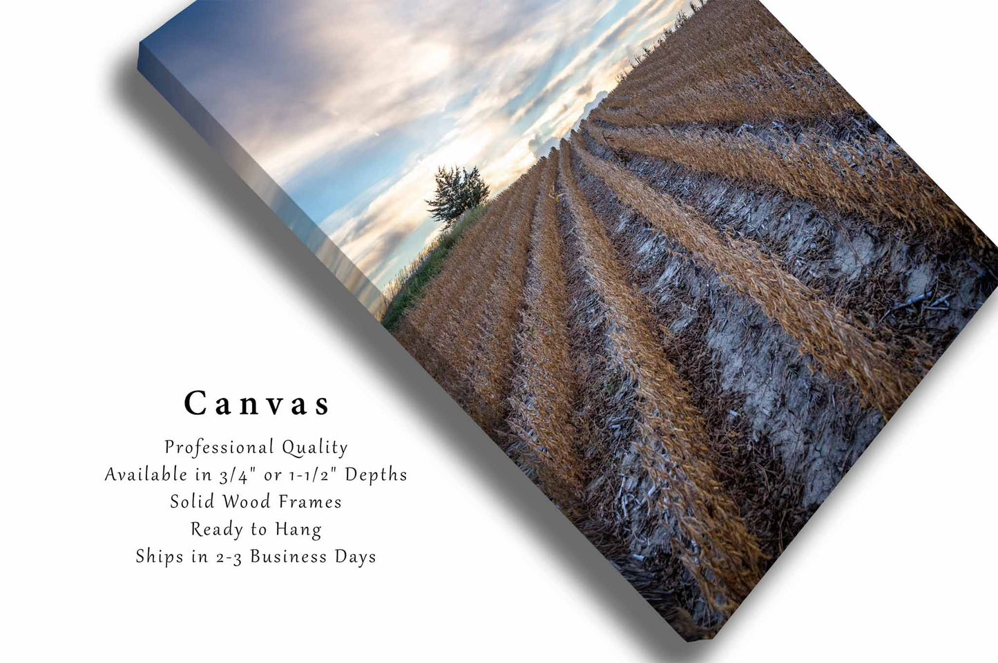 Soybean Field Canvas | Vertical Farm Gallery Wrap | Agriculture Photography | Nebraska Wall Art | Farmhouse Decor | Ready to Hang