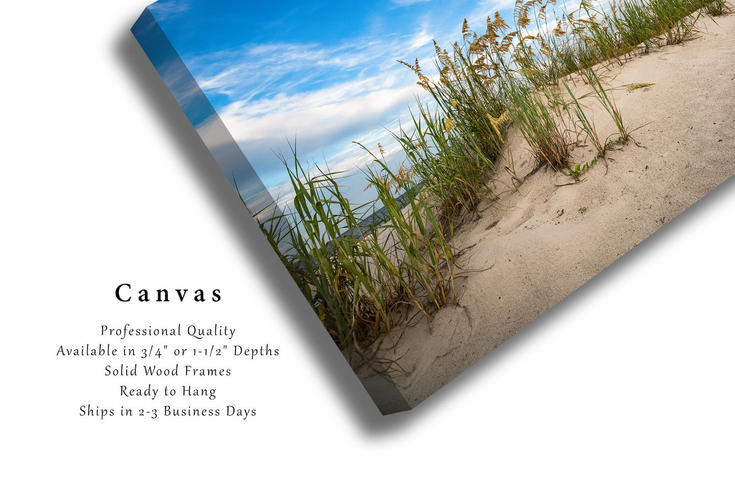 Coastal Canvas Wall Art (Ready to Hang) Gallery Wrap of Sand Dunes and Sea Oats in South Carolina Atlantic Coast Wall Art Beach Decor