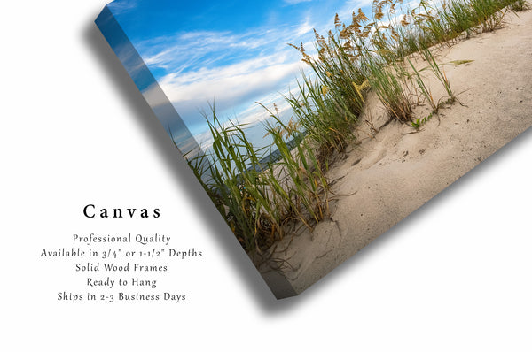 Canvas Wall Art | Sand Dunes and Sea Oats Picture | Beach Gallery Wrap | South Carolina Photography | Coastal Decor