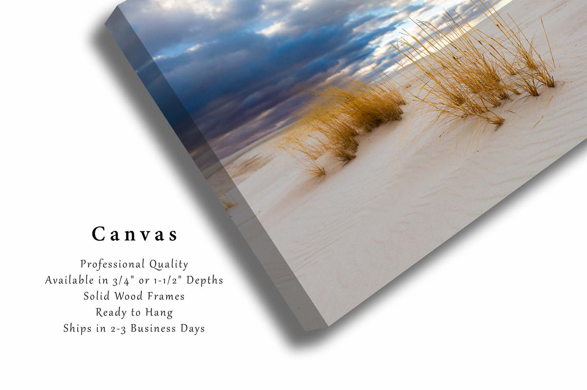 Golden Grass in Sand Dunes in New Mexico Canvas Wall Art | White Sands National Park Photography Nature Decor