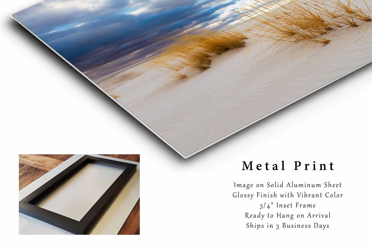 Golden Grass in Sand Dunes in New Mexico Metal Print Wall Art | White Sands National Park Photography Nature Decor