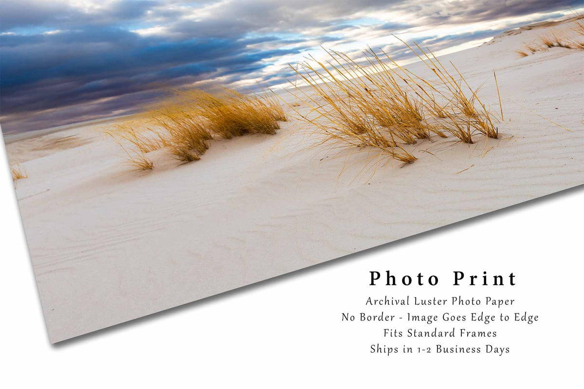 Golden Grass in Sand Dunes in New Mexico Photo Print (Unframed) | White Sands National Park Wall Art Nature Decor