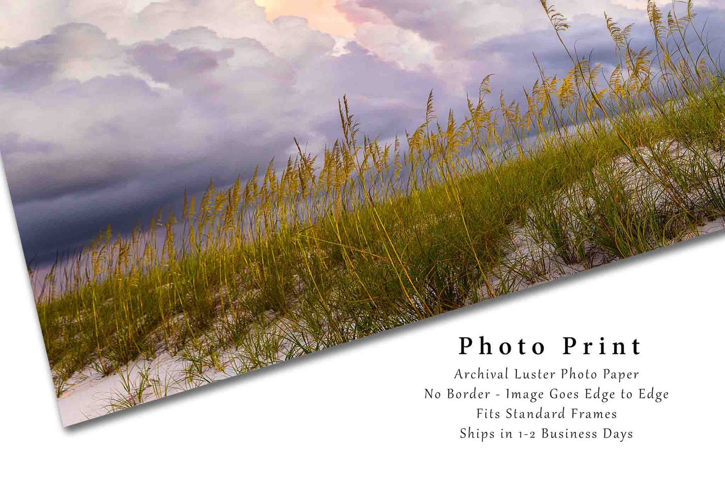 Coastal Photo Print | Storm Clouds Over Sea Oats Picture | Orange Beach Alabama Wall Art | Gulf Coast Photography | Beach House Decor