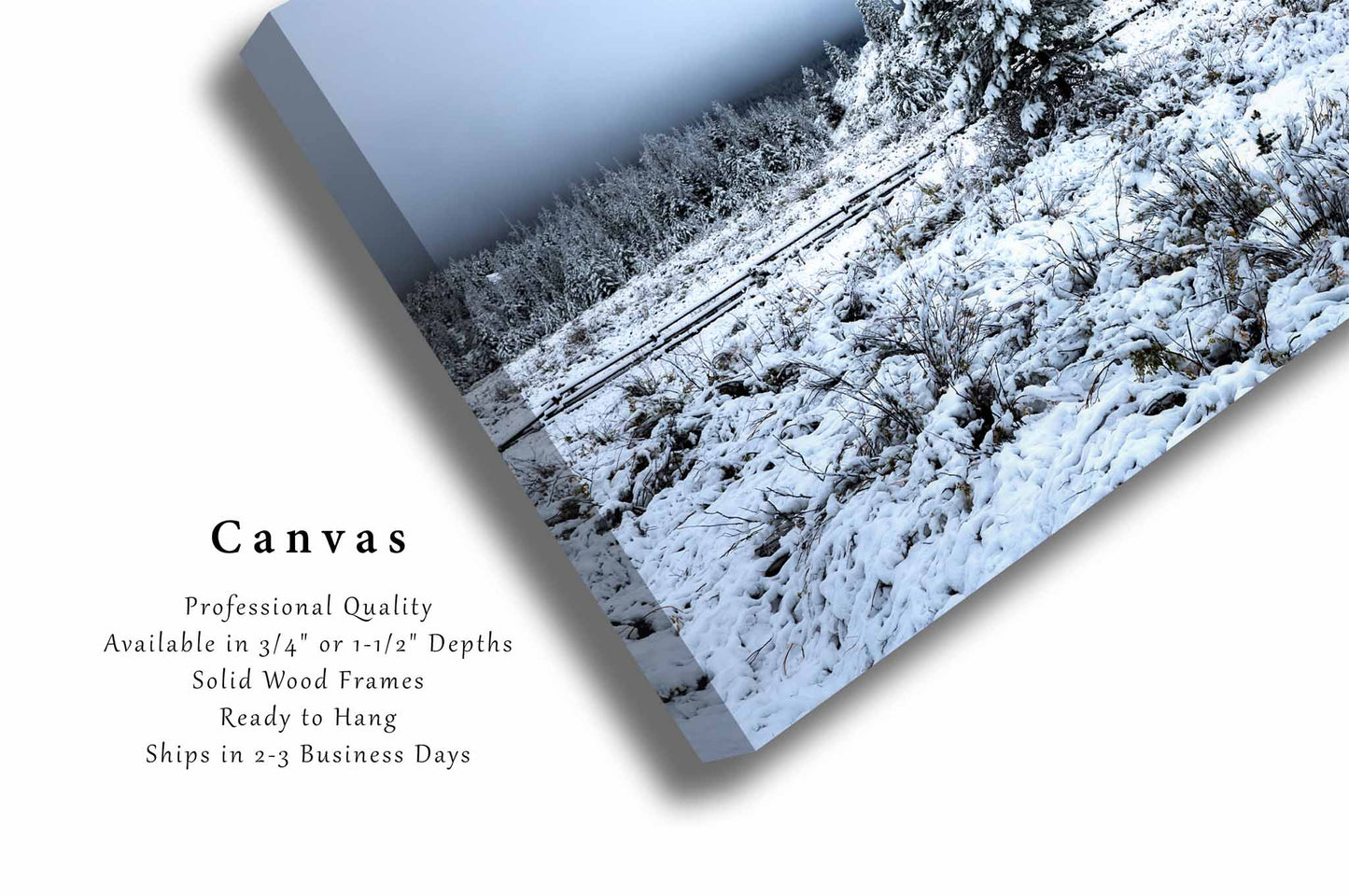 Snowy Pine Tree Canvas | Winter Landscape Gallery Wrap | Rocky Mountains Photography | Wyoming Wall Art | Nature Decor | Ready to Hang