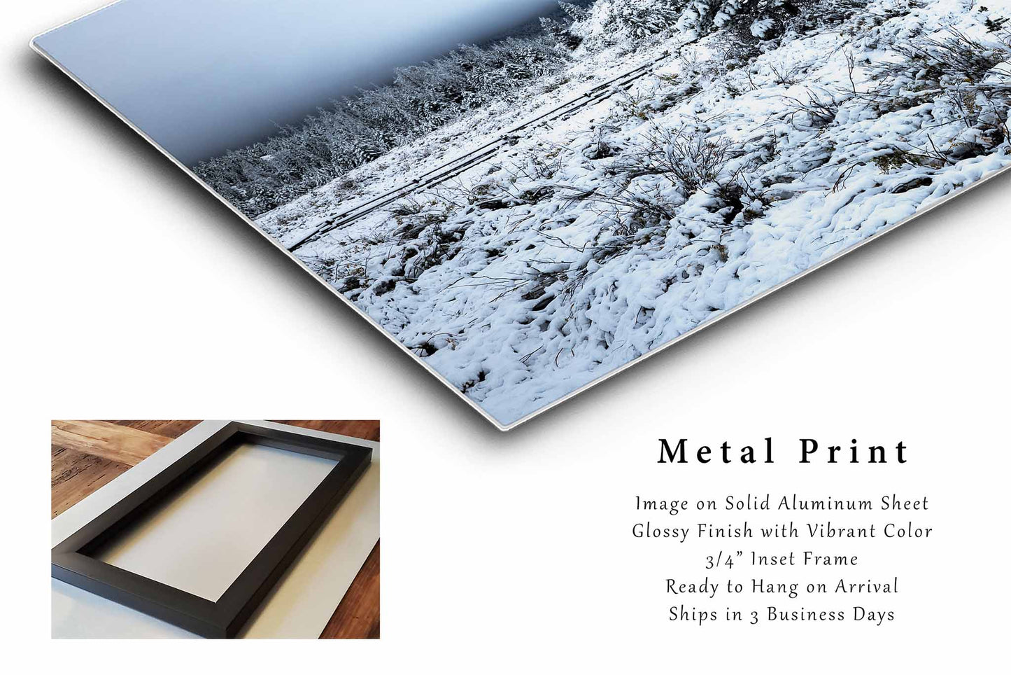 Snowy Pine Tree Metal Print | Winter Landscape Photography | Rocky Mountains Wall Art | Wyoming Photo | Nature Decor | Ready to Hang