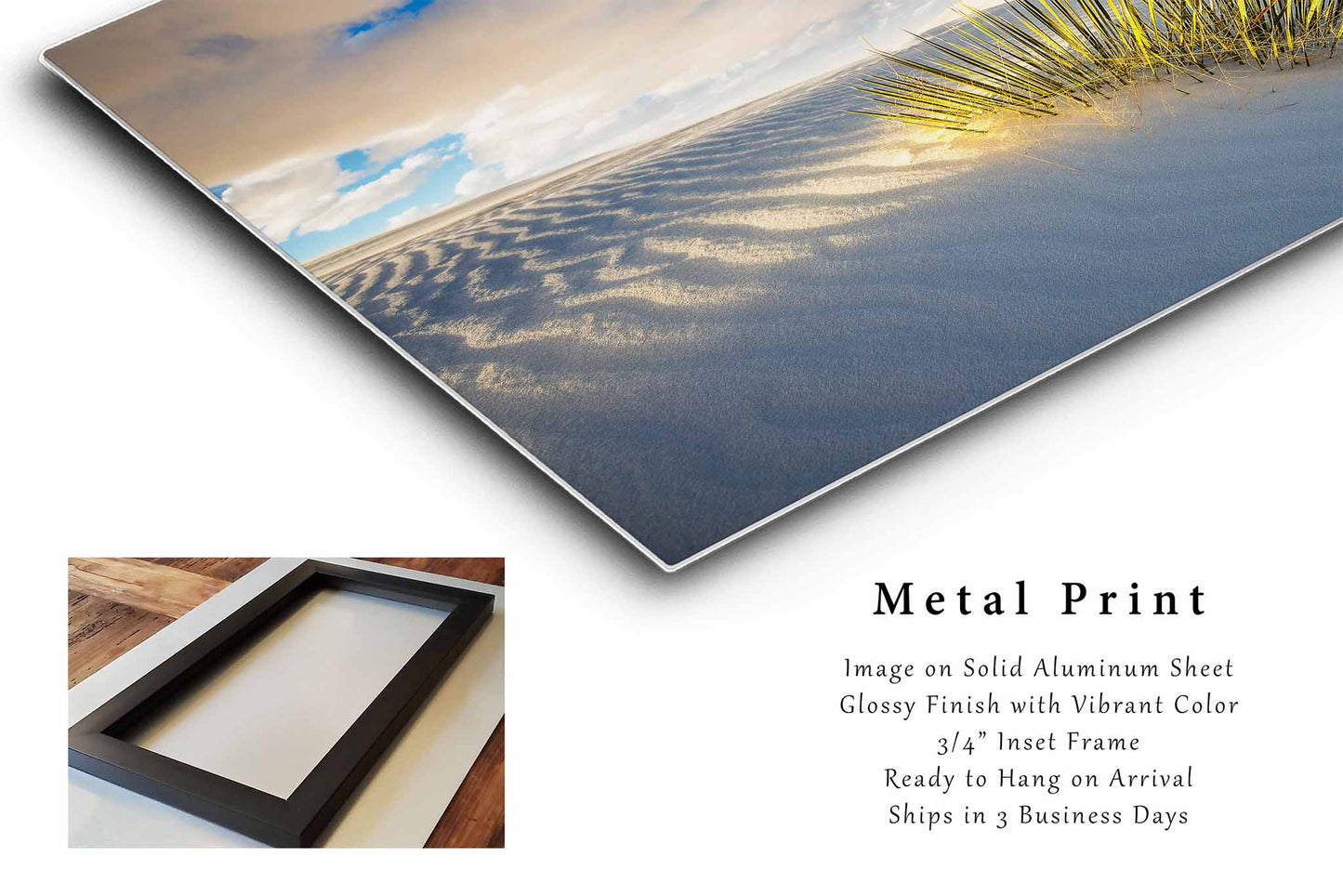 Soak Up the Sun | Yucca Plant in Sunlight Metal Print Wall Art | White Sands National Park New Mexico Photography