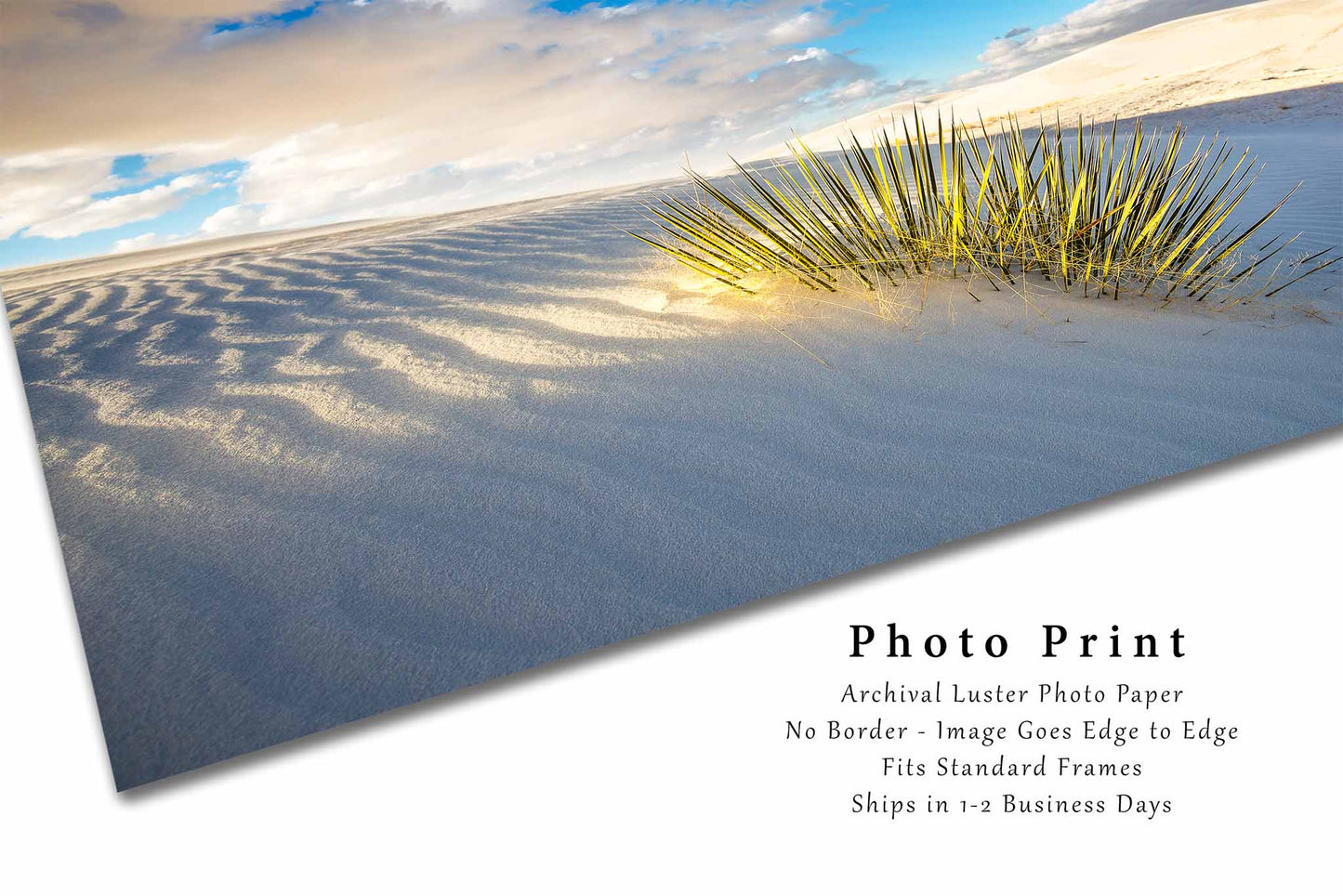 Desert Photography Print | Yucca Plant Picture | White Sands National Park Wall Art | New Mexico Landscape Photo | Southwest Decor | Unframed